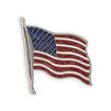 20430_USA_Flag_Pin_Under_&#36;10