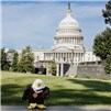Eagle_Outside_with_Capitol_Dome_600x600