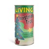 Grow_Christmas_Tree_600x600