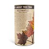 Grow_Red_Maple_Back_600x600