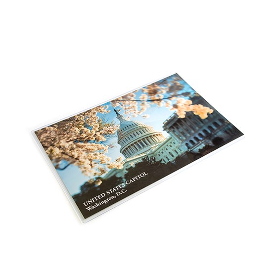 Cherry Blossom and Capitol Building Print