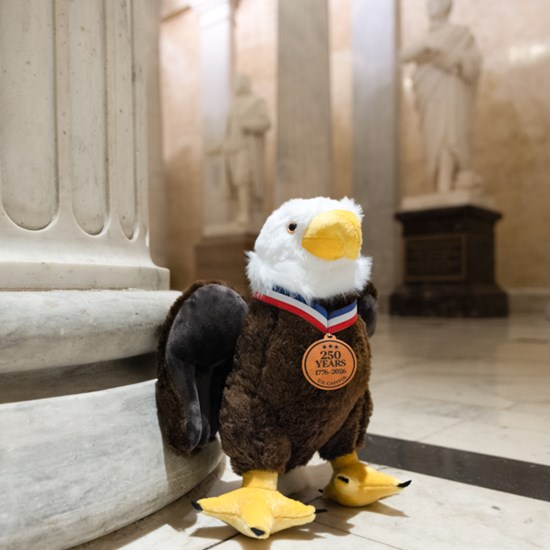 Limited Edition U.S. Capitol Bald Eagle