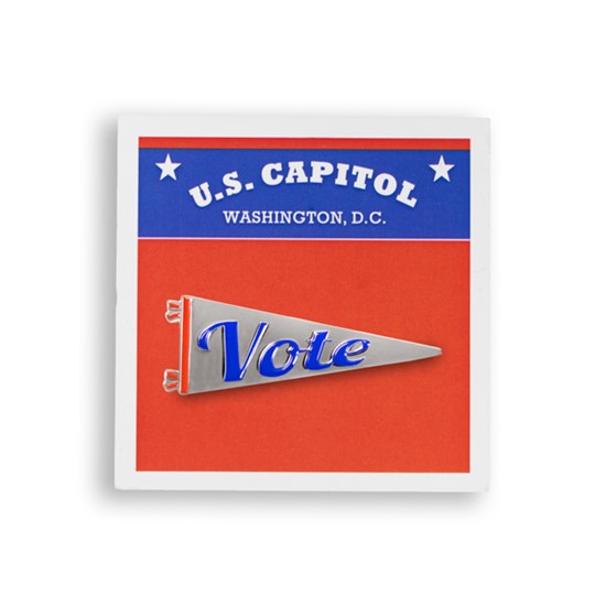 Vote Pennant Lapel Pin Silver &amp; Blue