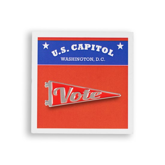 Vote Pennant Lapel Silver &amp; Red