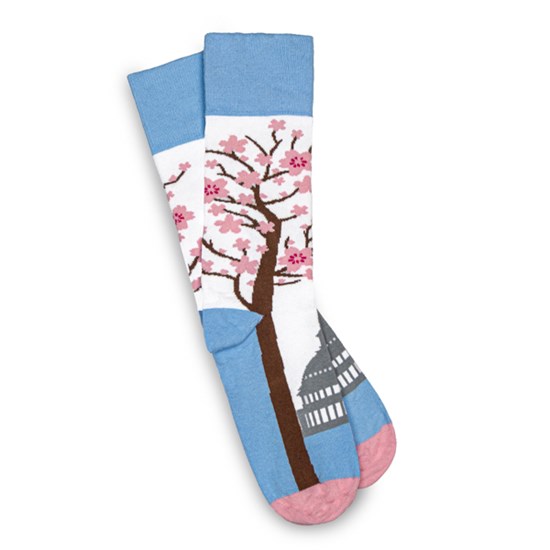 11137_CB_Socks_600x600