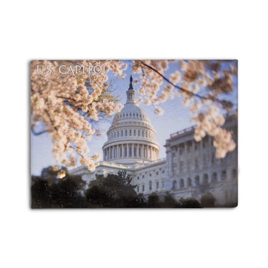 21295_Cherry_Blossom_in_Washington_DC_magnet