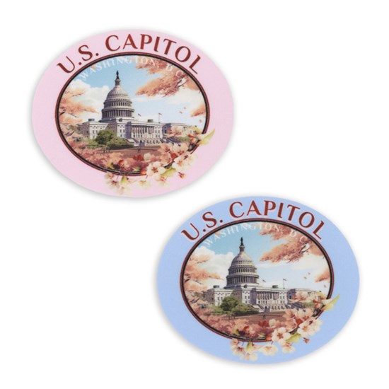 Cherry_Blossom_Oval_2_Magnets_600x600