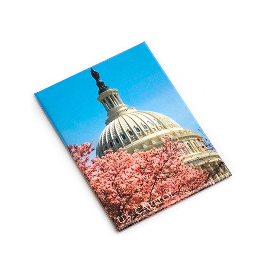 US Capitol Building Dome with Statue Cherry Blossom Jumbo Magnet