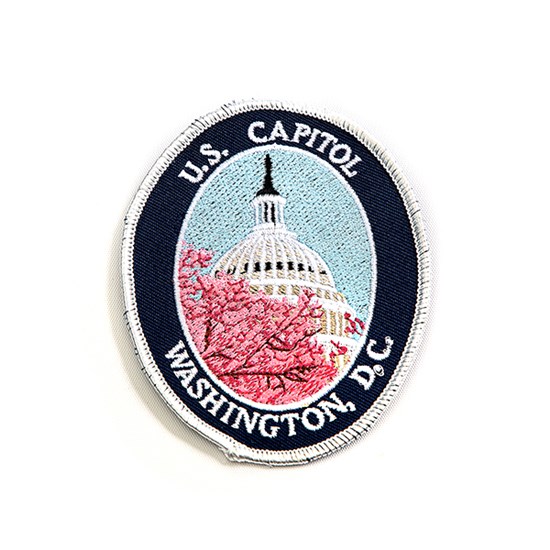 United States Capitol Dome Pink Flowers Cherry Blossom