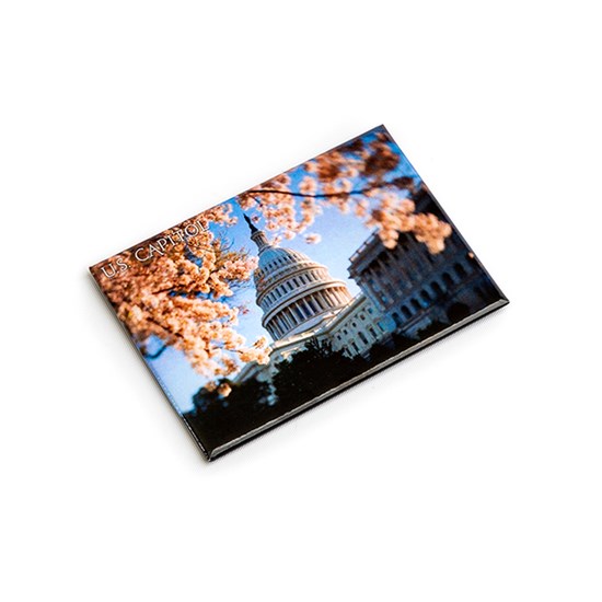 Photograph of the US Capitol Cherry Blossom Magnet