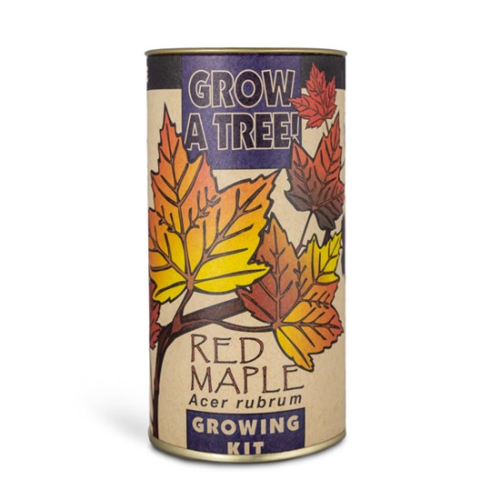 Grow_Red_Maple_600x600