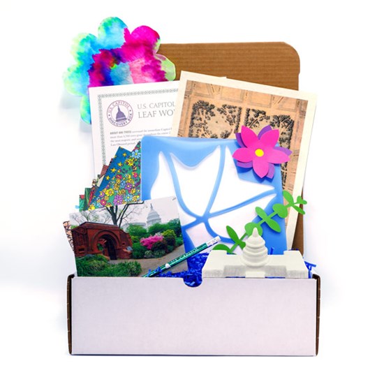 Olmsted_Discovery_Box_with_flowers_US_Capitol_Items