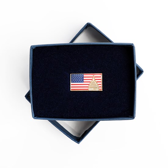 U.S.A. Capitol Flag Pin